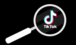 TikTok 进军搜索广告市场，商家纷纷利用该平台进行产品研究