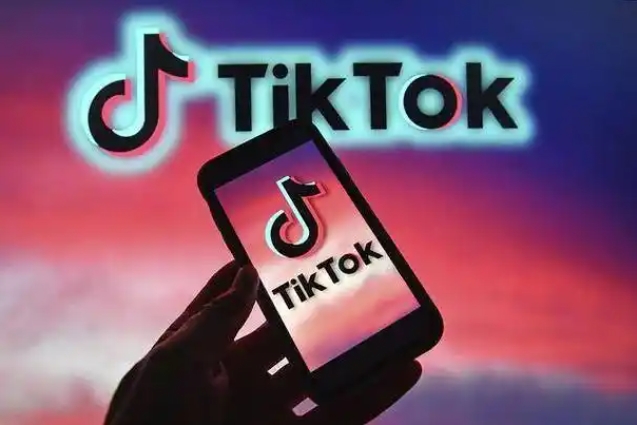 这款猫玩具在TikTok销量起飞，7天销量飙升190\%
